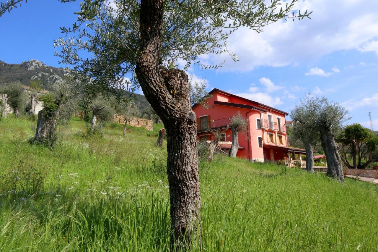 B&B La casa del sole Controne Esterno foto